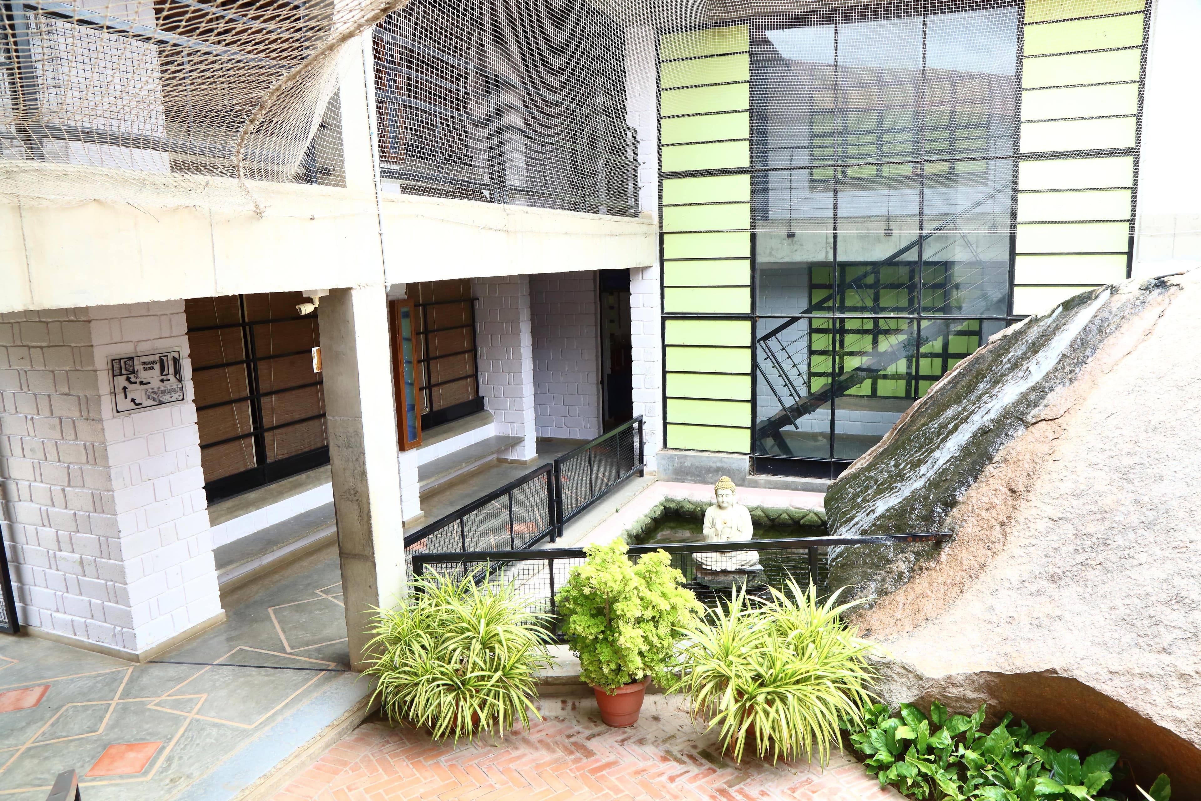 View All