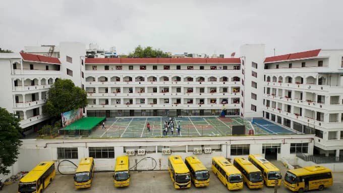 View All