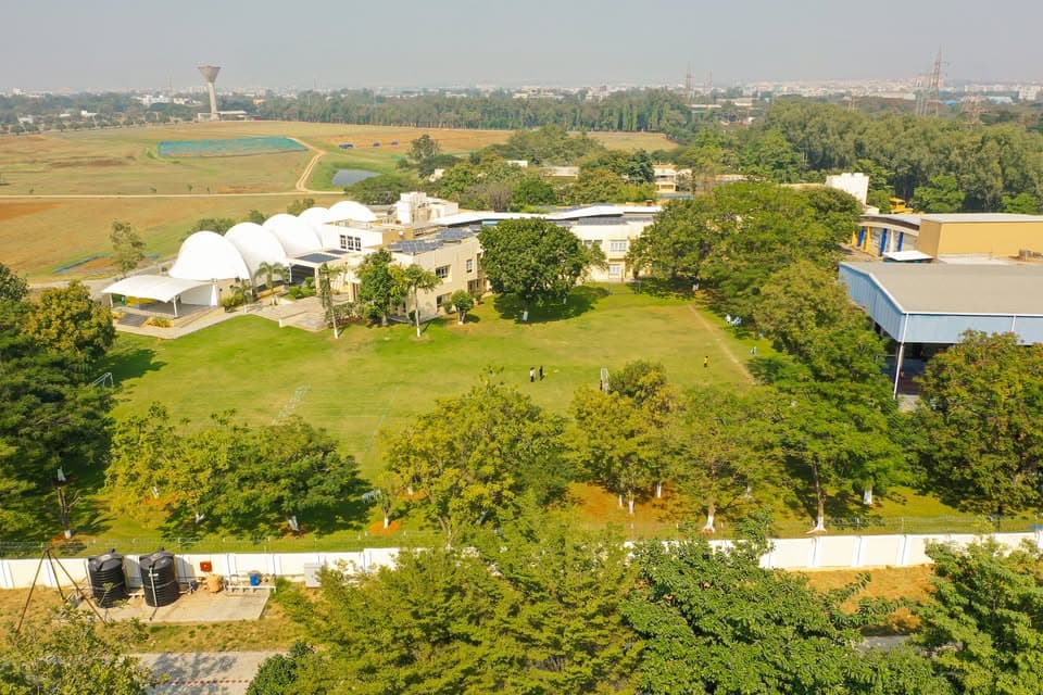 View All