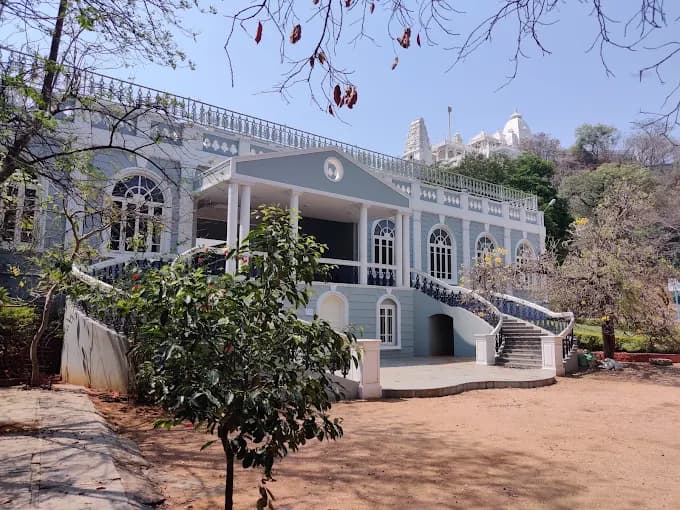 View All