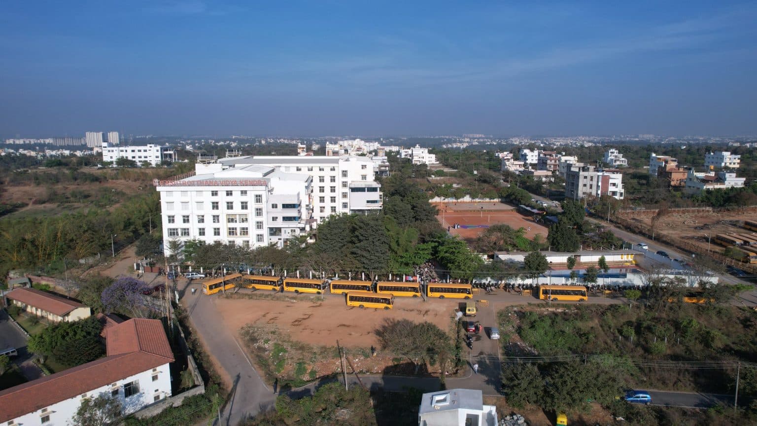 View All
