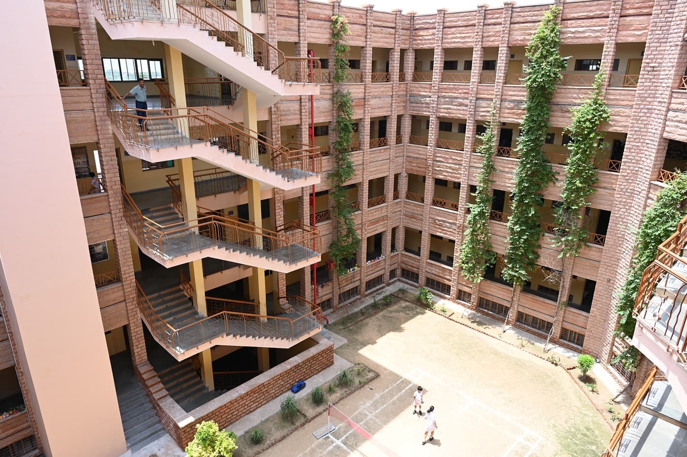 View All