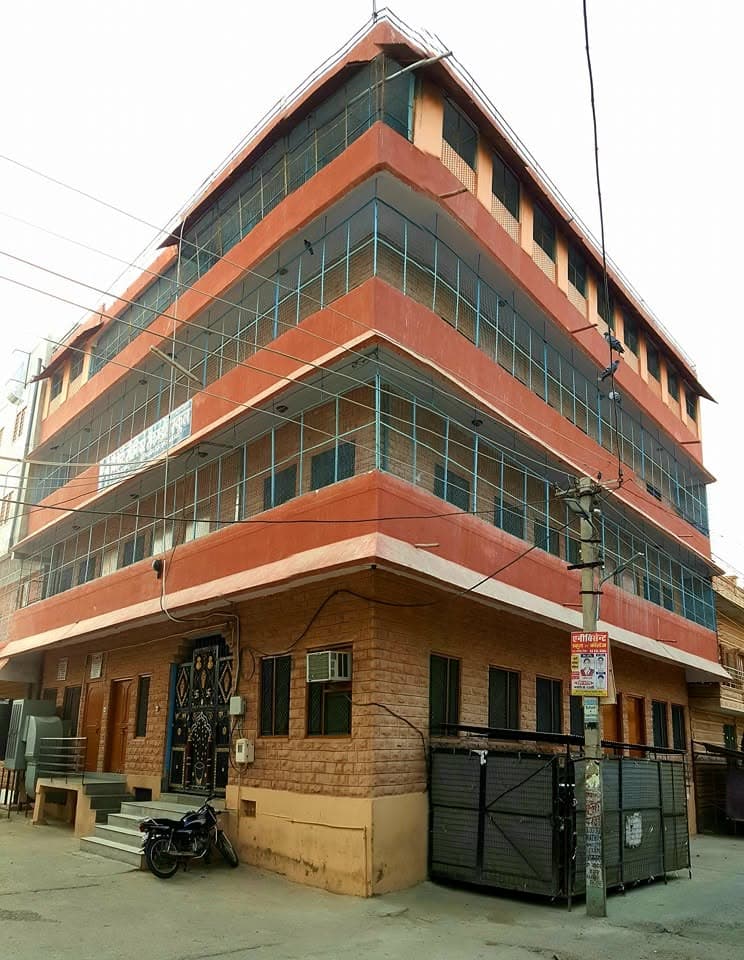 View All