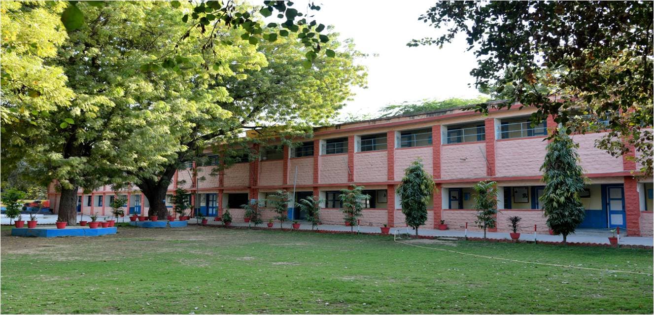 View All