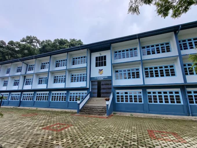 View All