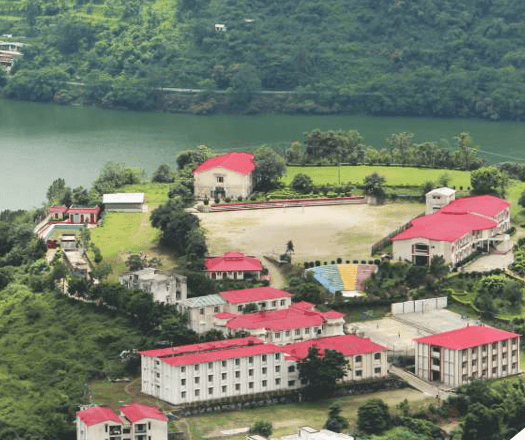 View All