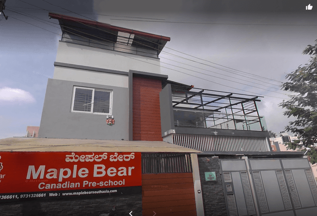 Maple Bear Gallery 0