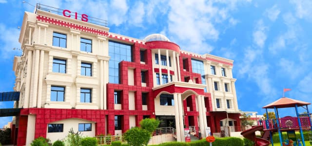 City International School