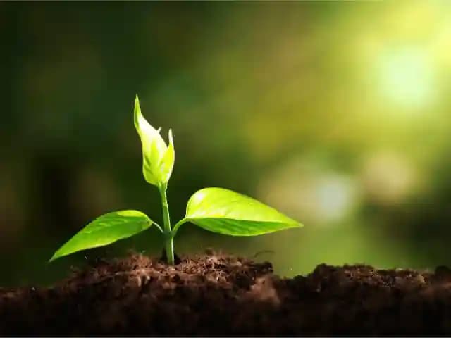 Arise Awake Public School Gallery 3