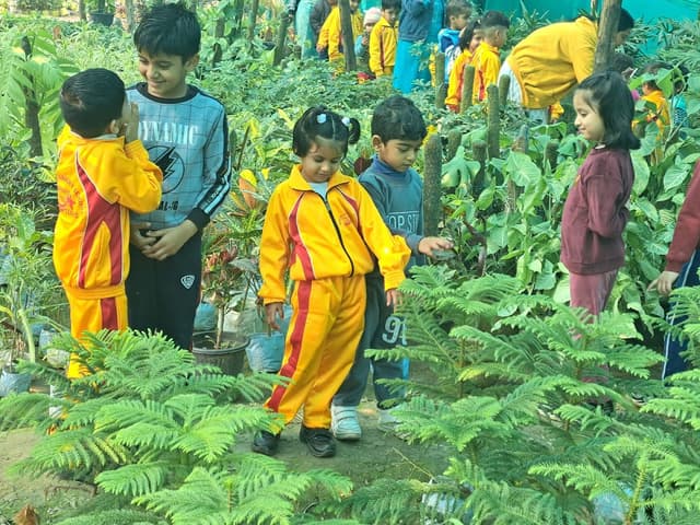 Kiddies Nursery School Gallery 11