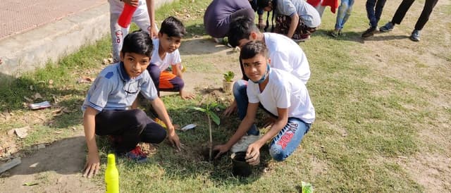 The Earth Paradise School Gallery 31