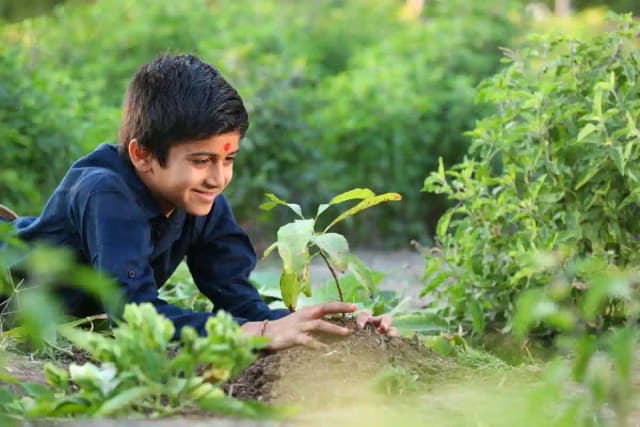Shree Swaminarayan Gurukul Gallery 4
