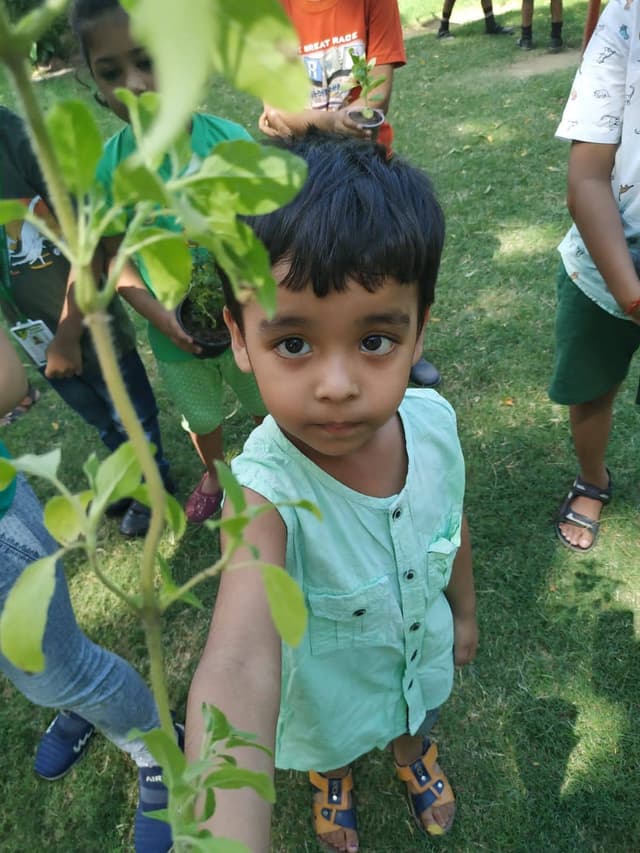 Indian Academy Gallery 7