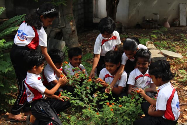 ABACUS International Montessori School Gallery 24