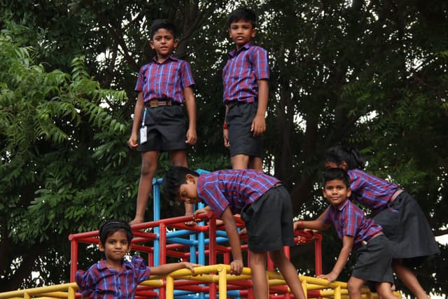 ABACUS International Montessori School Gallery 14