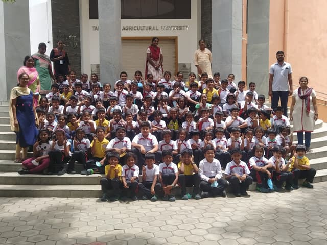 ABACUS International Montessori School Gallery 12