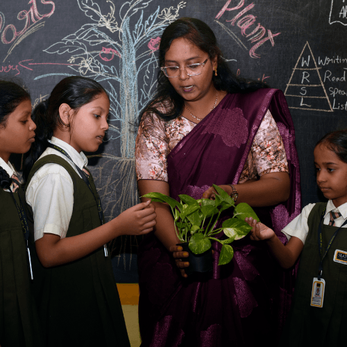 Slate - The School Gallery 1