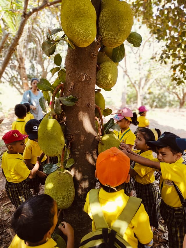 Angelz Paradise Gallery 7