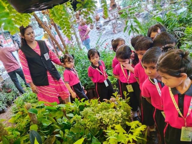 Cambridge Montessori Pre School Gallery 0