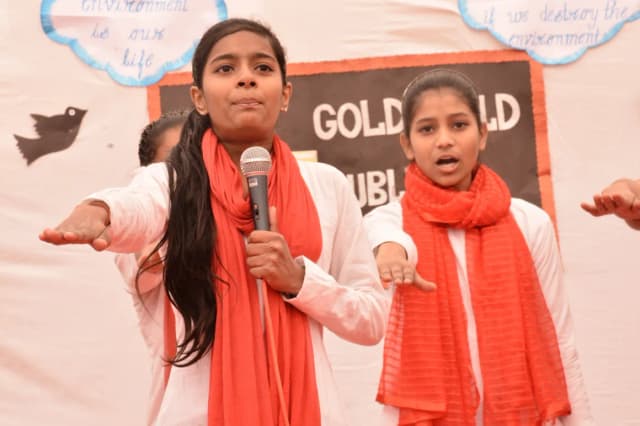 Gold Field Public School Gallery 33