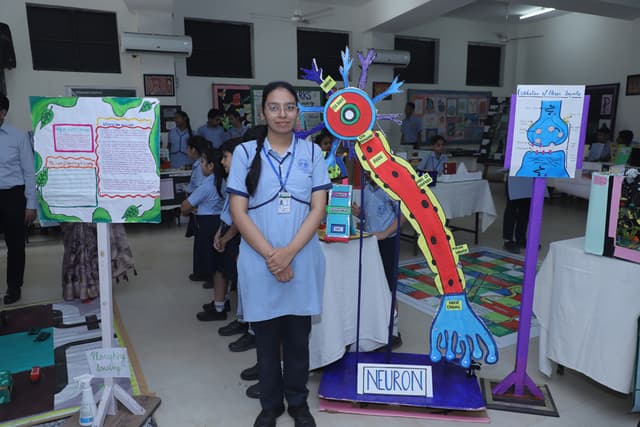 Lions Public School Gallery 18