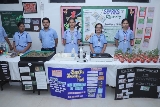 Lions Public School Gallery 15