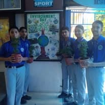 Pearl Drop School Gallery 2