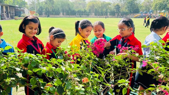 R.D. Rajpal School Gallery 1