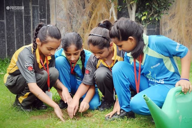 Presidium School Gallery 260