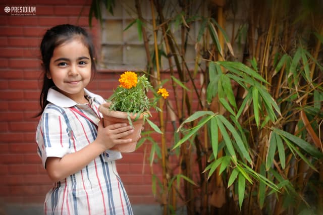 Presidium School Gallery 259