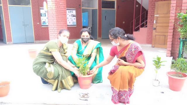 St. John's Academy Gallery 27