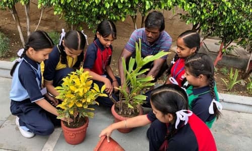 Gurusharan Convent School Gallery 1