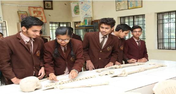 Sharda Vidya Mandir Senior Secondary School Gallery 7